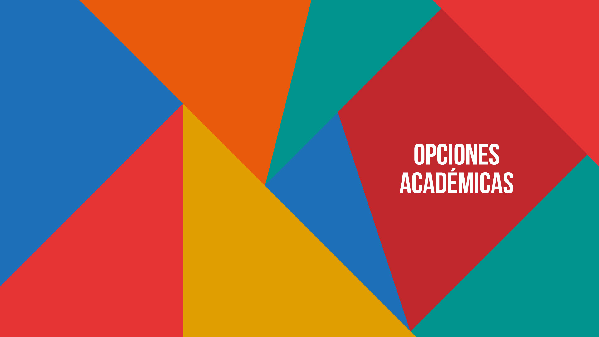 Opciones académicas Facultad de Artes y Humanidades