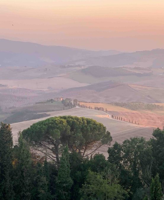 Reunión informativa | Viaje de estudios: Toscana y Umbría. El arte del Renacimiento italiano