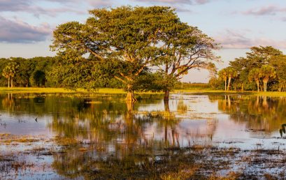 I Coloquio Internacional sobre la Orinoquía